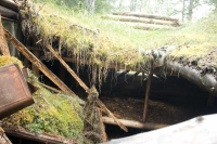 cabin sod roof